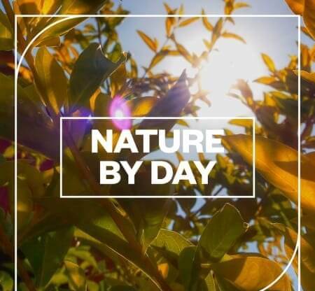 Blastwave FX Nature by Day WAV